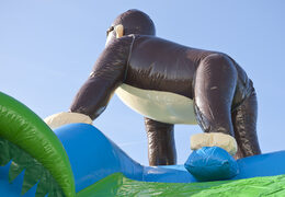 Super château gonflable avec toit sur le thème de la jungle pour les enfants. Achetez des châteaux gonflables en ligne chez JB Gonflables France