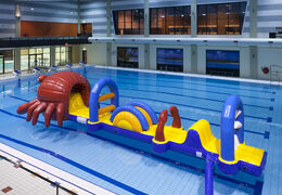 Commandez une course d'obstacles gonflable unique sur le thème du crabe avec des objets d'obstacle stimulants pour petits et grands. Achetez des attractions aquatiques gonflables en ligne maintenant chez JB Gonflables France