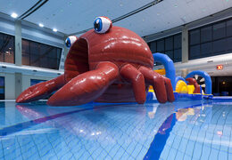 Obstacle Run gonflable unique sur le thème du crabe avec des objets d'obstacle stimulants pour petits et grands. Achetez des attractions aquatiques gonflables en ligne maintenant chez JB Gonflables France