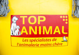 Achat Top Animal Mascotte Chien Jaune. Obtenez votre réplique de produit gonflable maintenant en ligne chez JB Gonflables France