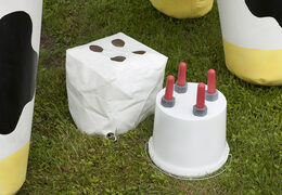 Limonade Koe Opblaasbaar