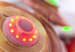 Kit de batterie gonflable avec système de jeu interactif à vendre