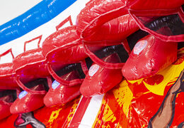 Acheter un jeu de basket interactif