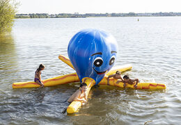 jb waterplay elementen octopus