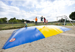 Terrain de jeux à thème personnalisé pour enfants fabriqué chez JB Gonflables France. Airmountains sur mesure de toutes formes et tailles