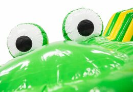 Achetez un grand playzone gonflable de crocodile à tunnel de rampement pour les enfants. Commandez des playzone gonflables en ligne chez JB Gonflables France