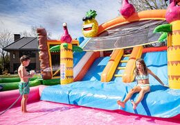 Commandez un château gonflable avec toboggan aquatique pour votre jardin sur le thème des flamants roses pour les enfants. Achetez des châteaux gonflables en ligne chez JB Gonflables France
