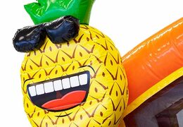 Achetez un château gonflable multijoueur gonflable sur le thème des flamants roses avec des baignoires connectables pour enfants chez JB Gonflables France. Commandez des châteaux gonflables en ligne chez JB Gonflables France