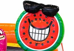 Commandez le château gonflable Splashy Slide Flamingo JB Gonflables France. Achetez des châteaux gonflables en ligne chez JB Gonflables France