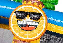 Opblaasbaar Multi Splash Bounce Flamingo springkussen met zwembadje te koop in thema flamingo voor kids bij JB Inflatables