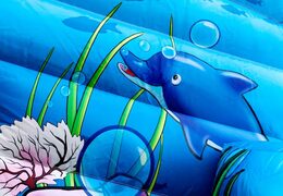 Achetez la château gonflable d'intérieur maxi multifun de seaworld pour les enfants. Commandez des châteaux gonflables en ligne chez JB Gonflables France