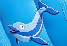 Obtenez votre toboggan gonflable avec des couleurs gaies, des objets 3D et une impression amusante sur la paroi latérale pour les enfants. Commandez des toboggans gonflables chez JB Gonflables France