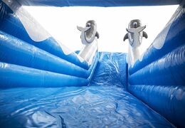 Obtenez votre toboggan gonflable avec des couleurs gaies, des objets 3D et une impression amusante sur la paroi latérale en ligne maintenant. Commandez des toboggans gonflables chez JB Gonflables France