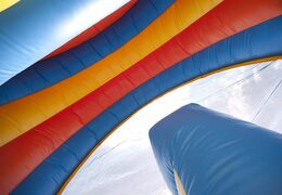 Glijbaan Dolfijn met multiplay en bad voor kinderen bestellen voor kids. Koop opblaasbare glijbanen nu online bij JB Inflatables Nederland