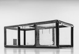 Acheter une capsule de voiture gonflable pour stocker des véhicules