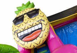 Acheter château gonflable toboggan compact gonflable pour enfants sur le thème hawaii