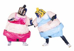 2 costumes de sumo big mama en rose et en bleu pour lutter à vendre