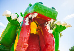 Coussin d'air gonflable multiplay avec toboggan thème dino vert jaune à vendre