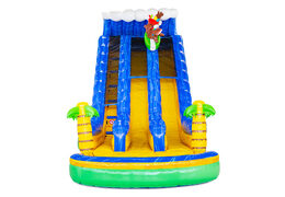 Toboggan aquatique gonflable Waterslide D22 Hawaii à thème tropical à vendre