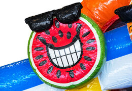 Commandez le château gonflable gonflable Mini Multiplay dans le thème Flamingo pour les enfants. Achetez des châteaux gonflables gonflables chez JB Gonflables France