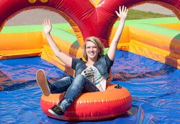 Old Dutch game shuffleboard vivant