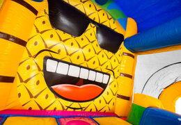 Grande ananas dans le château gonflable bouncy box Hawaii en vente chez JB Inflatables