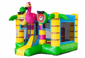 Mini château gonflable multijoueur sur le thème des flamants roses avec toboggan à acheter pour les enfants. Achetez des châteaux gonflables gonflables en ligne chez JB Gonflables France