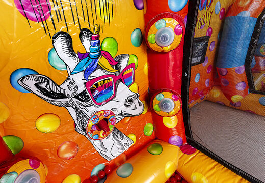 Acheter le jeu gonflable IPS Ninja Party chez JB Inflatables