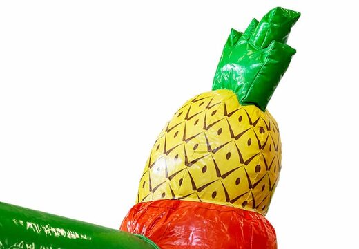 Achetez une château gonflable XXL Hawaï avec toboggan pour enfants. Commandez des super châteaux gonflables en ligne chez JB Gonflables France