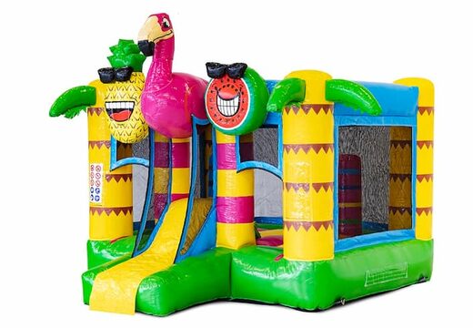 Mini château gonflable multijoueur sur le thème des flamants roses avec toboggan à acheter pour les enfants. Achetez des châteaux gonflables gonflables en ligne chez JB Gonflables France