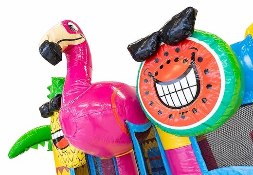 Oder mini multiplay sur le thème des flamants roses avec toboggan pour enfants. Mini château gonflable à acheter en ligne chez JB Gonflables France