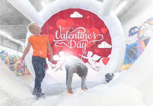 boule à neige hermétique avec fond valentine pour prendre des photos acheter