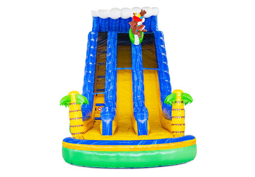 Toboggan aquatique gonflable Waterslide D22 Hawaii à thème tropical à vendre