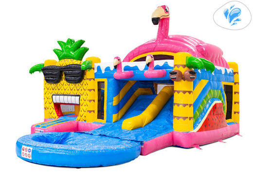Commandez le château gonflable Multiplay Dubbelslide en ligne chez JB
