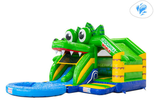 Achetez le côté Slide Combo Doubleslide avec piscine chez JB